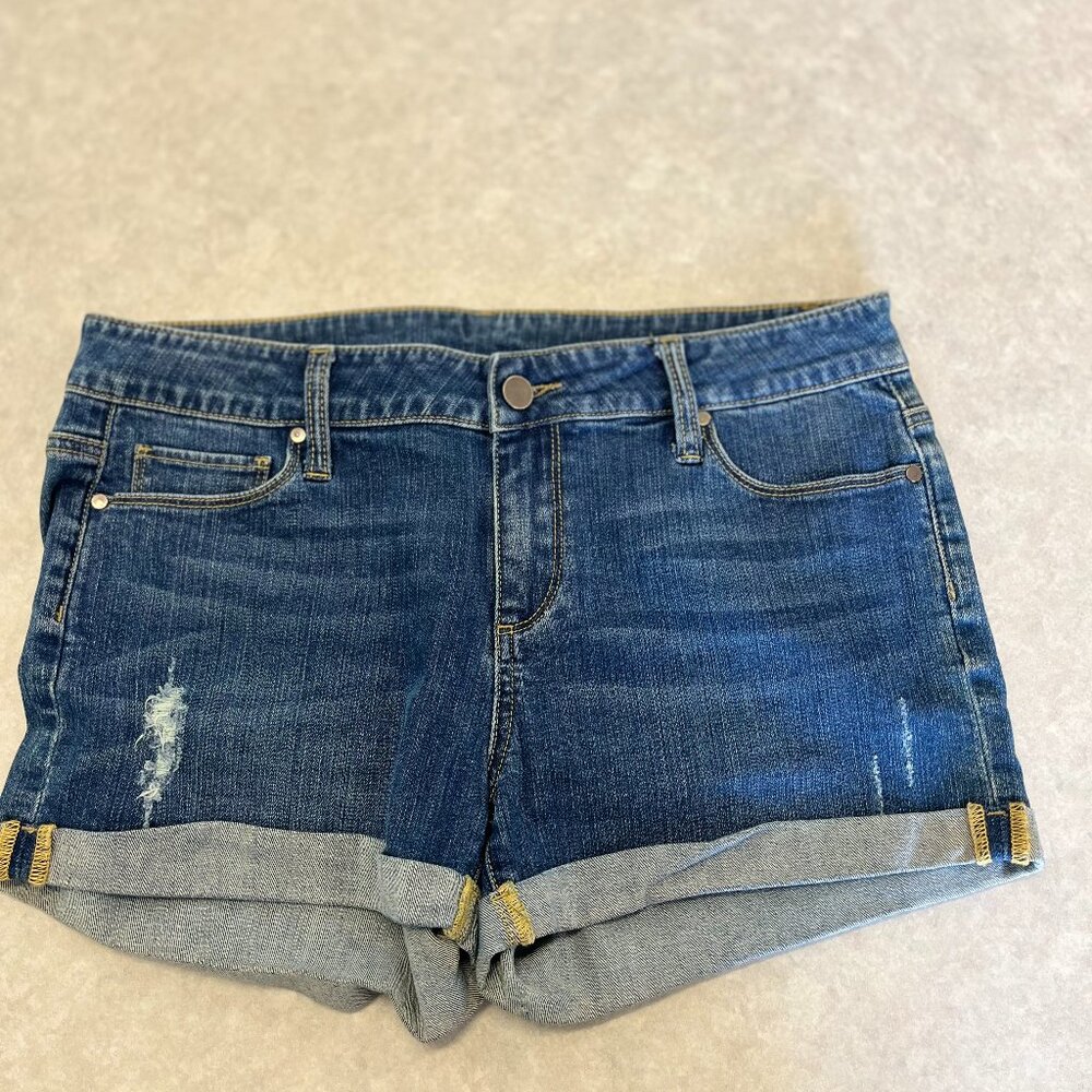 Paige Distressed  Denim Shorts (28)